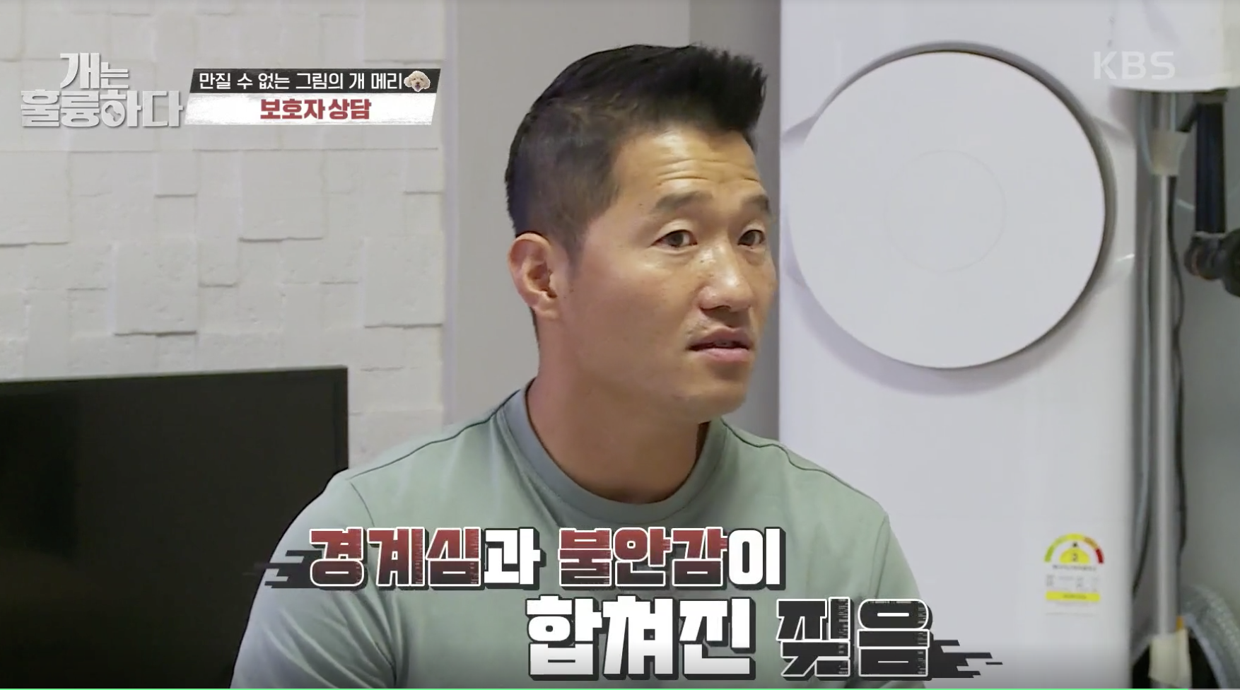 개는 훌륭하다 캡처