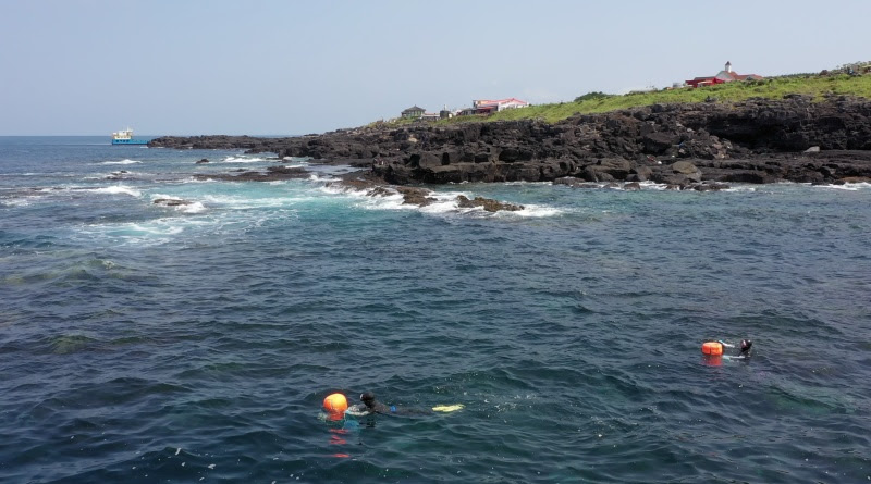 KBS 1TV  [다큐인사이트]