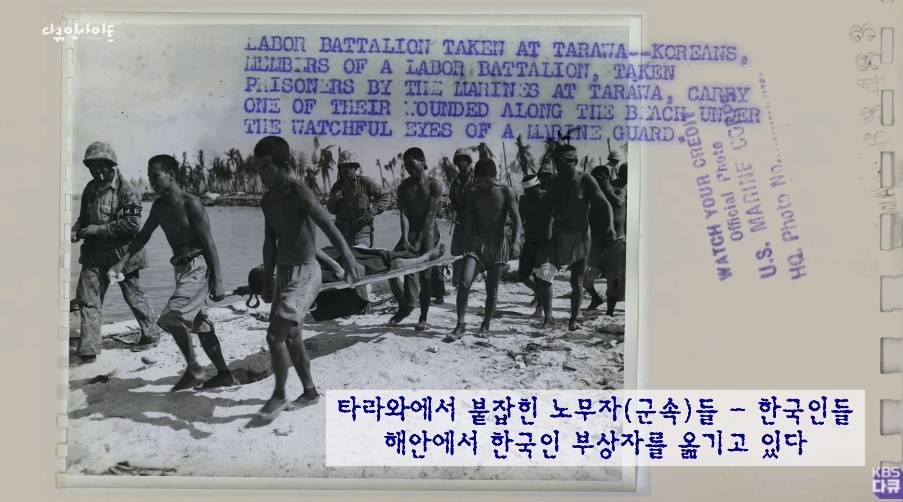 KBS 1TV [다큐 인사이트]