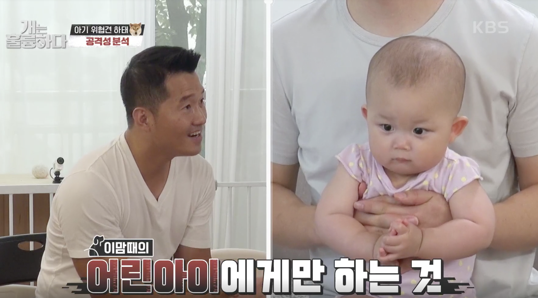 개는 훌륭하다 캡처