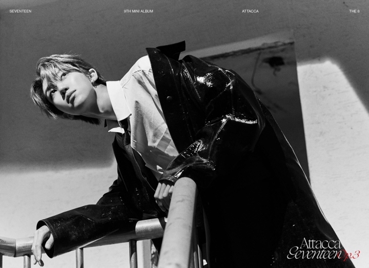 세븐틴 사진=플레디스 엔터테인먼트