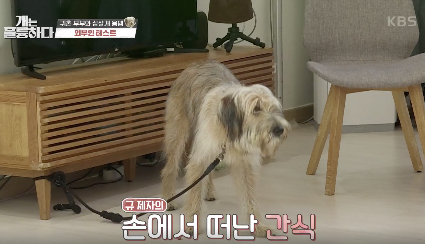 개는 훌륭하다 캡처