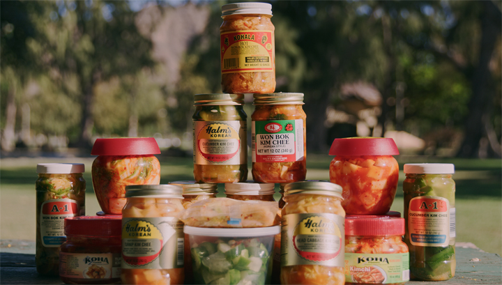 KBS 1TV '다큐 인사이트 - 겨울이 오면'