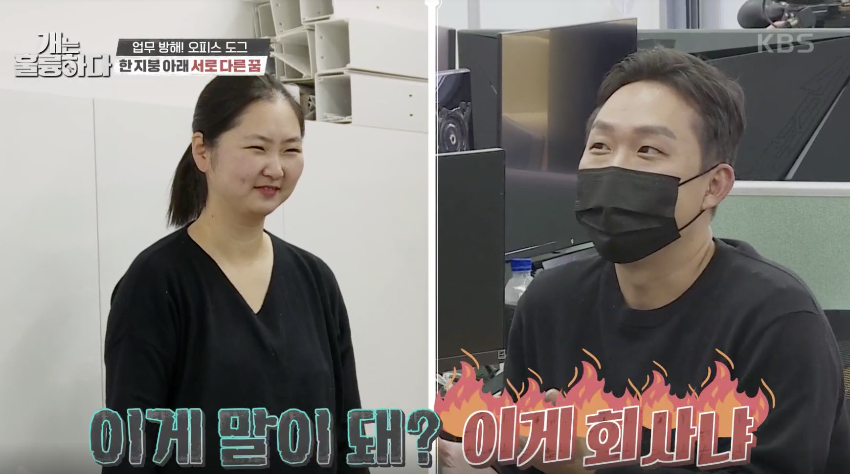 개는 훌륭하다 캡처