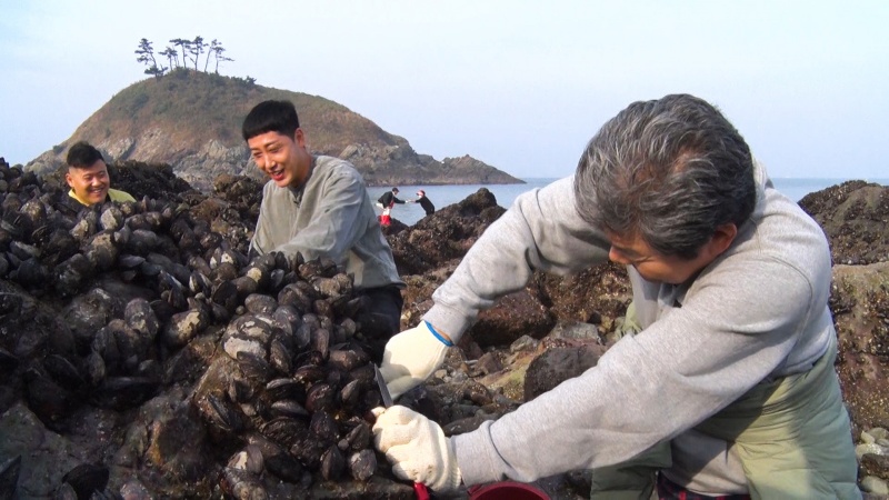  KBS 1TV 일꾼의 탄생