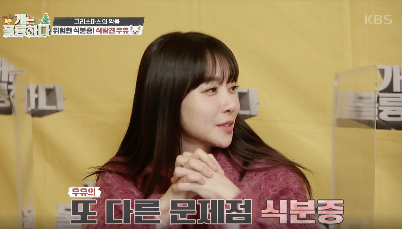 개는 훌륭하다 캡처