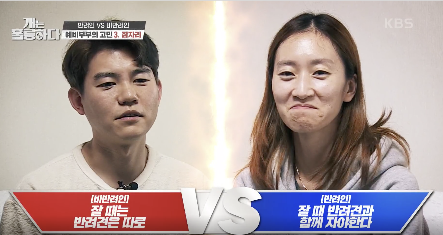 개는 훌륭하다 캡처