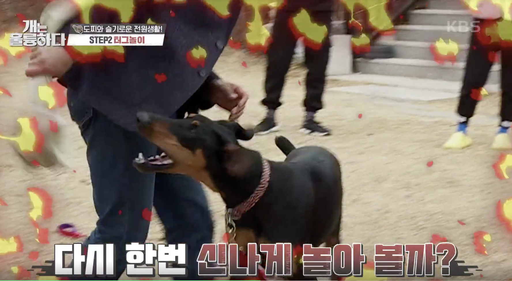 개는 훌륭하다 캡처