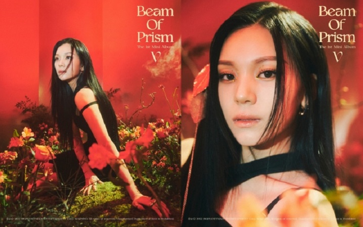 비비지 ⓒ 빅플래닛메이드 제공