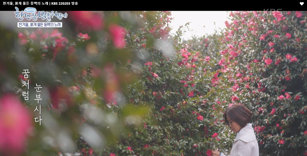 한 번쯤 멈출 수밖에 이미지캡처