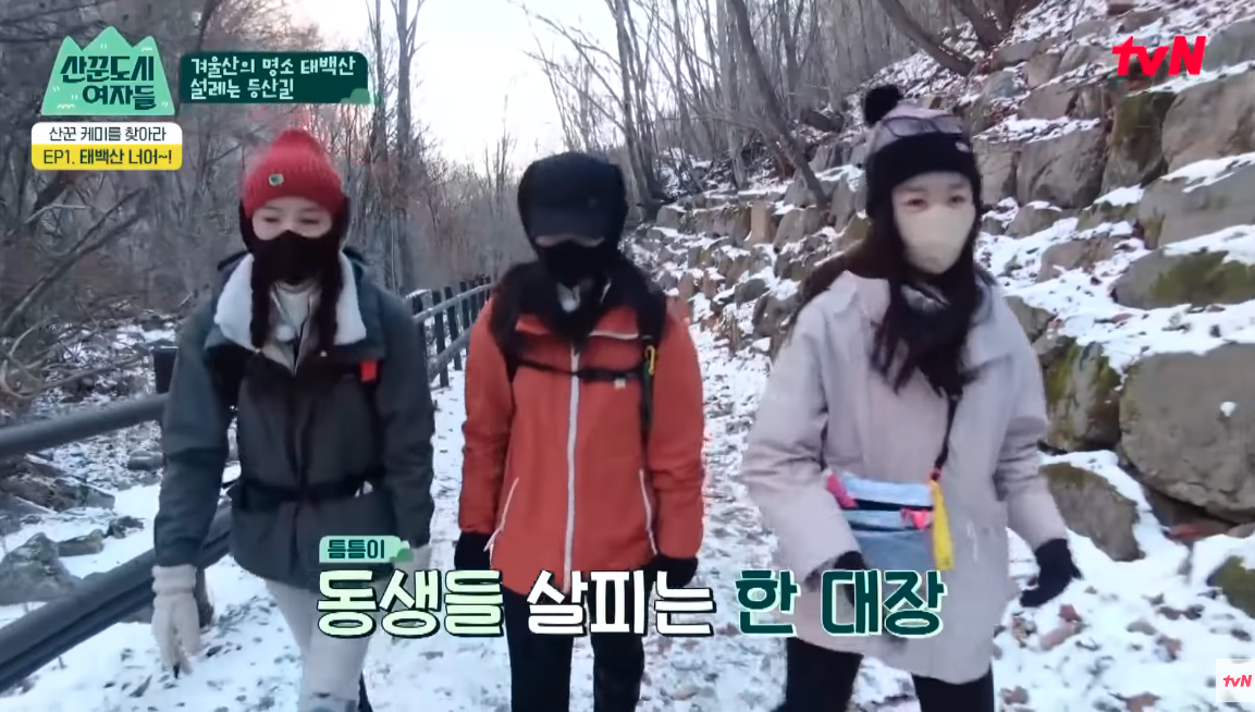 tvN '산꾼도시여자들'