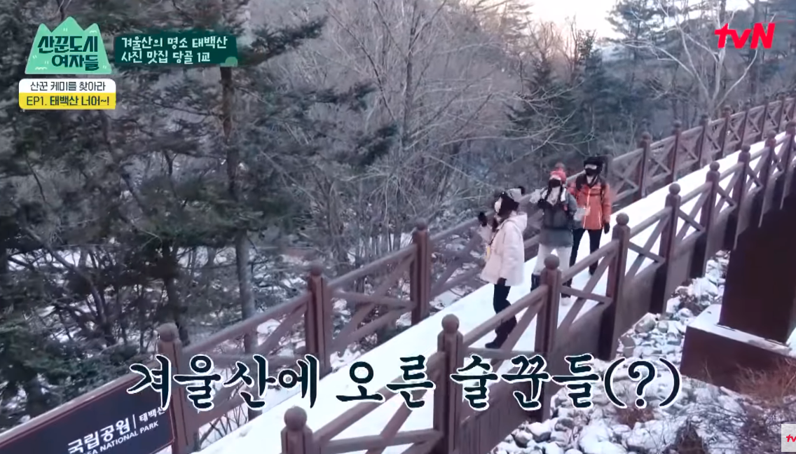 tvN '산꾼도시여자들'