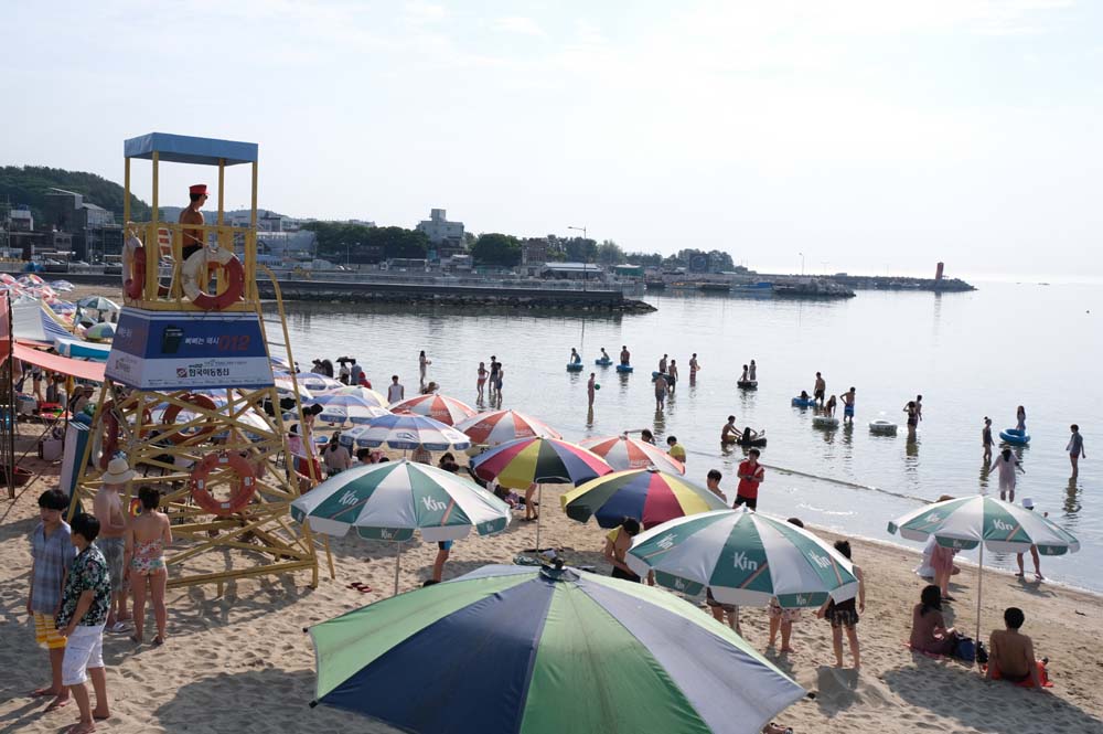 영화 '뜨거운 피'