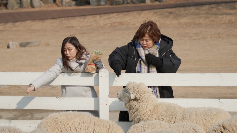 KBS 한 번쯤 멈출 수밖에