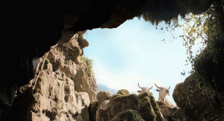 '일 부코' (미켈란젤로 프람마르티노 감독)