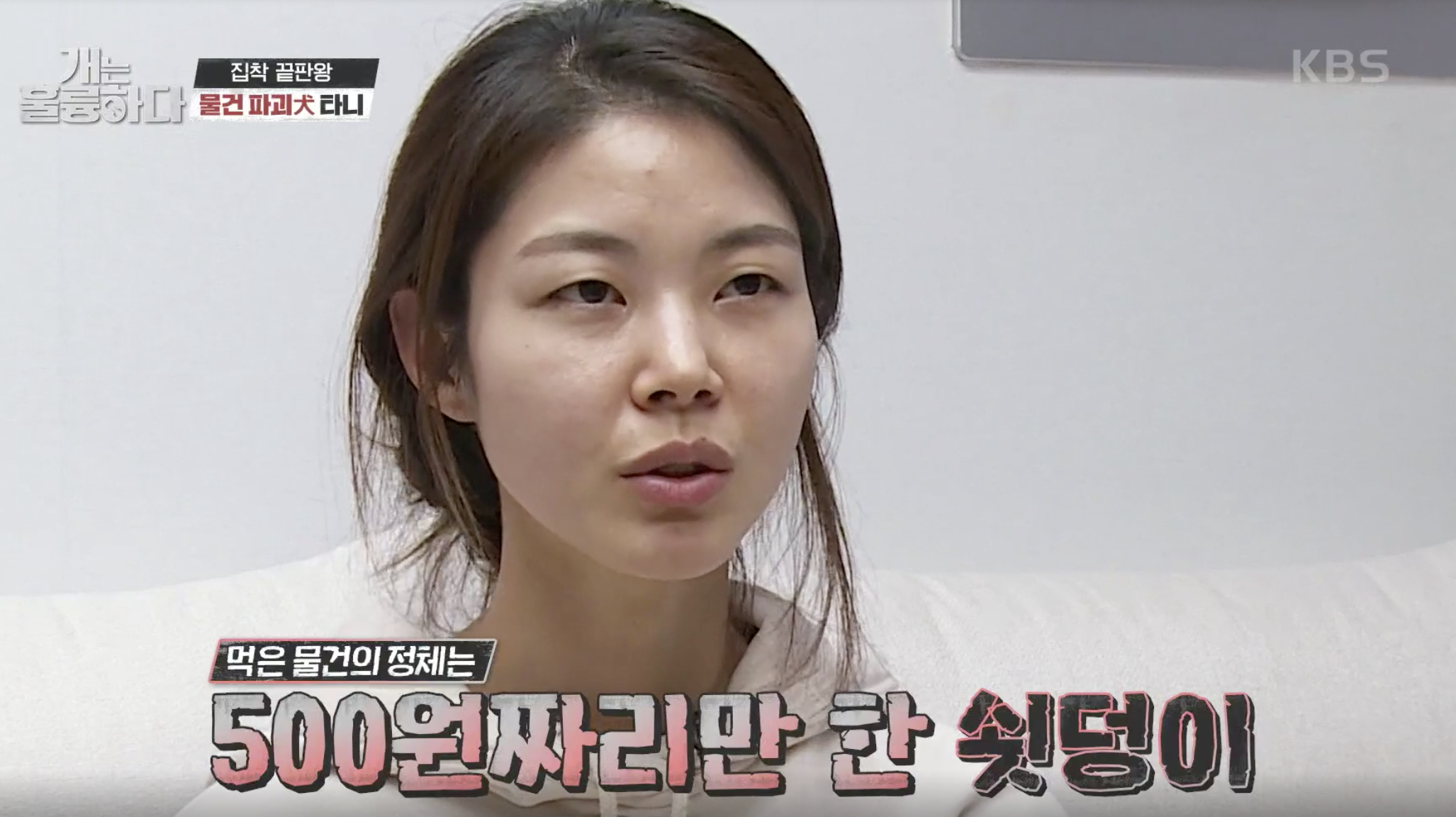 개는 훌륭하다 캡처