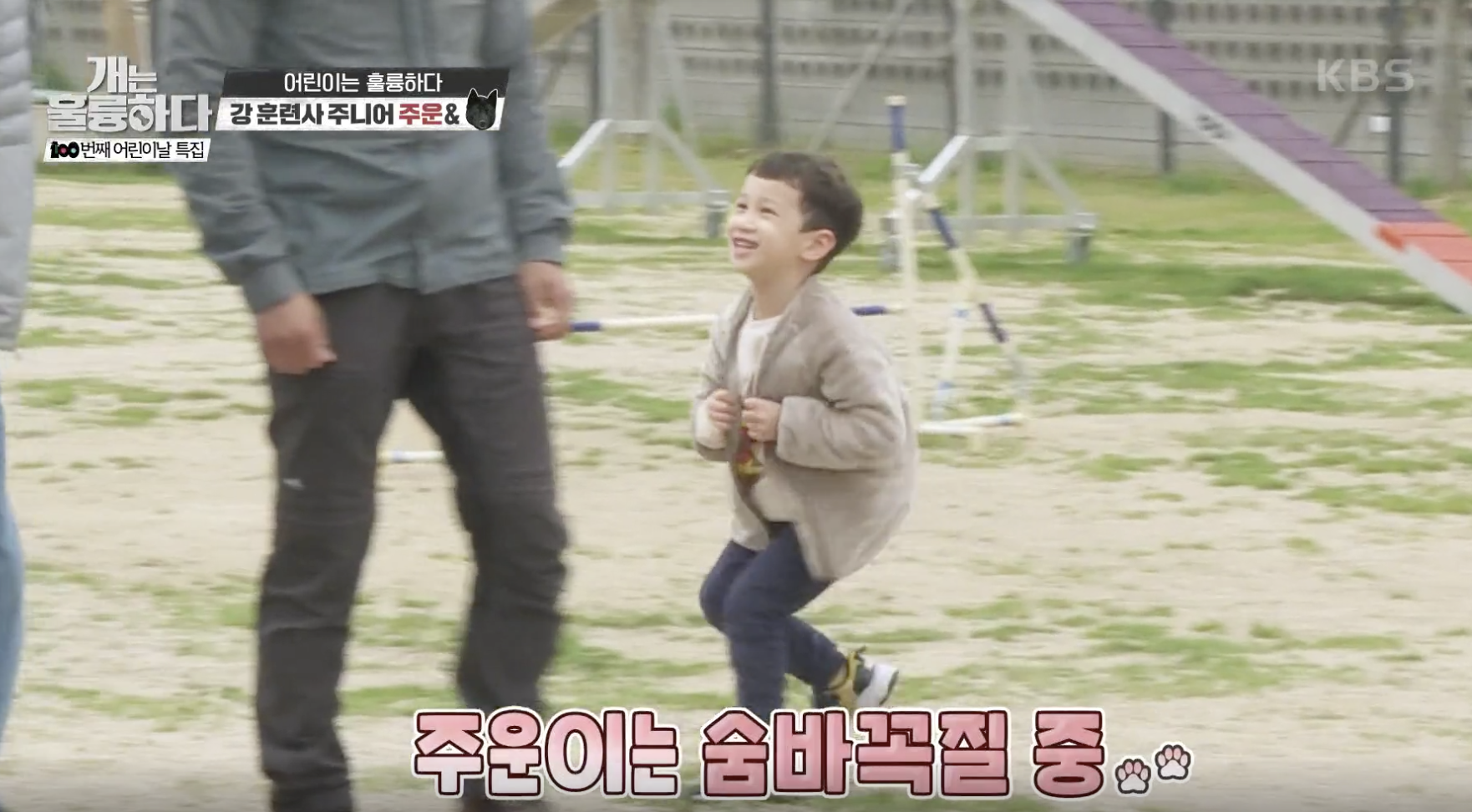 개는 훌륭하다 캡처