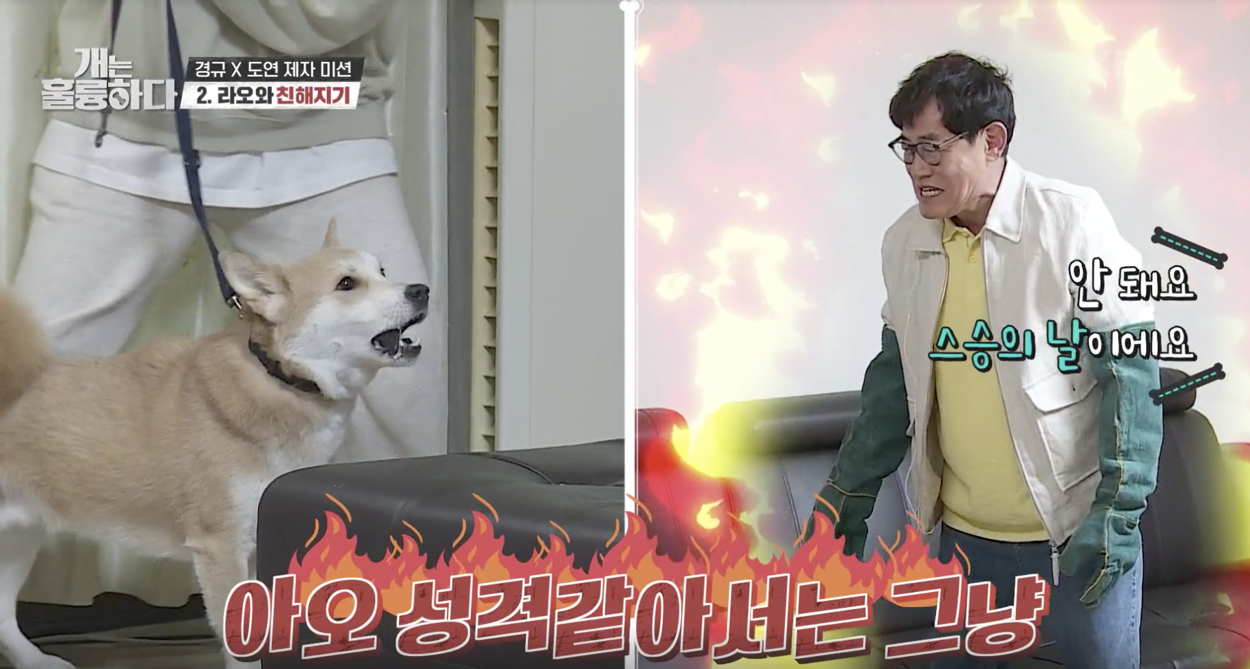 개는 훌륭하다 캡처