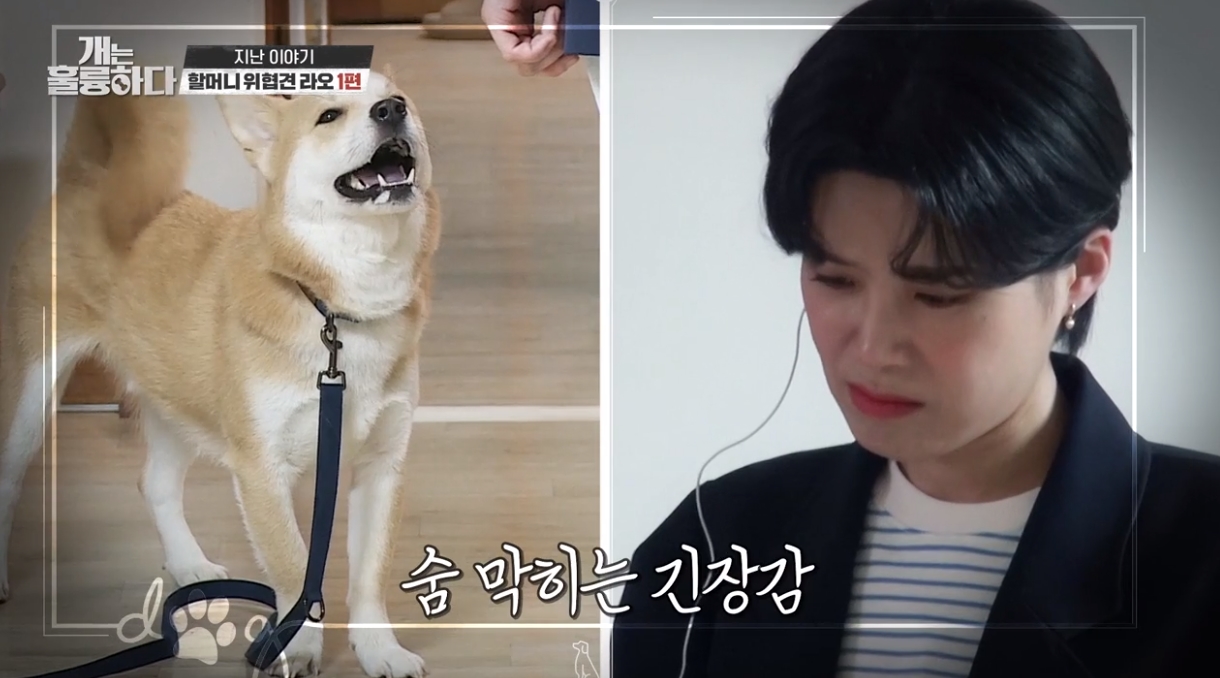 KBS 개는 훌륭하다