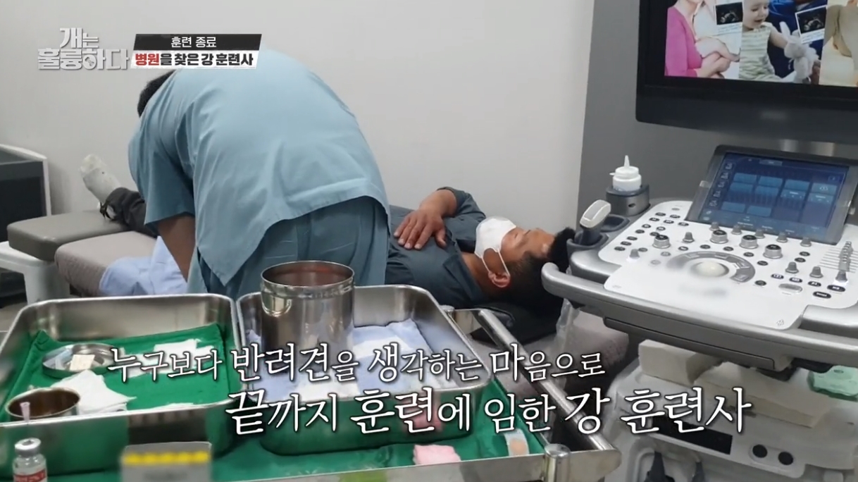 KBS 개는 훌륭하다