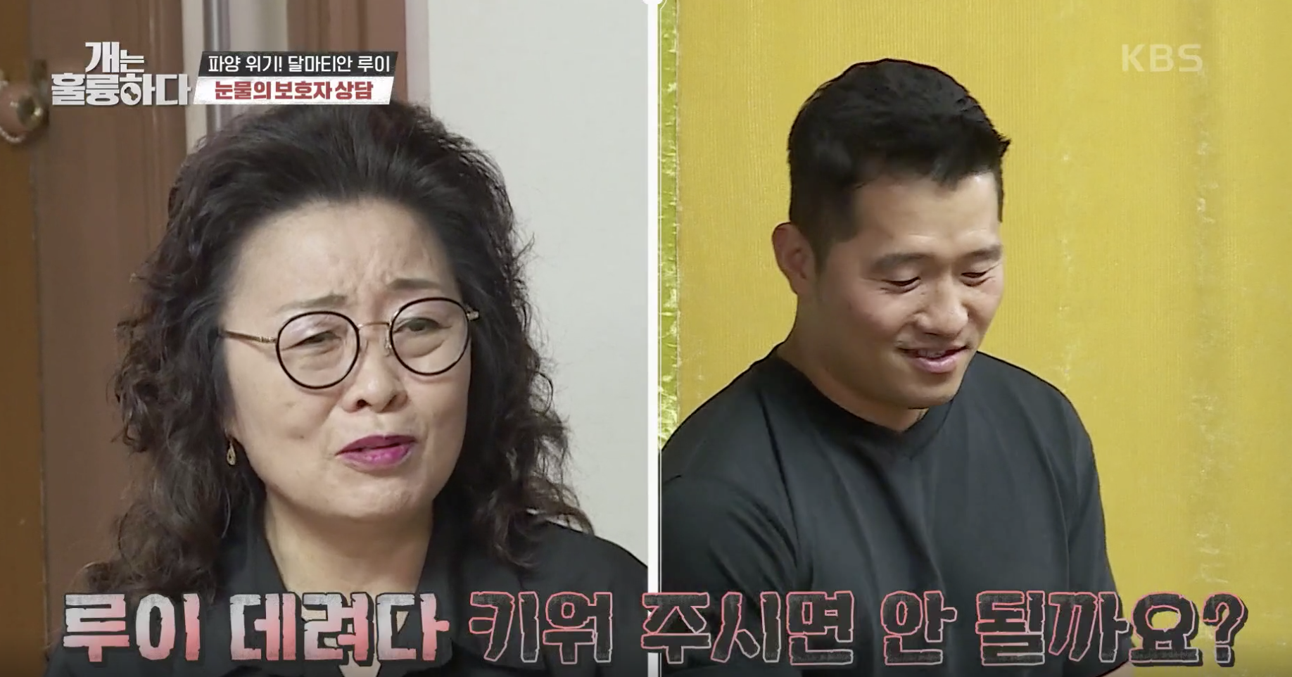 개는 훌륭하다 캡처