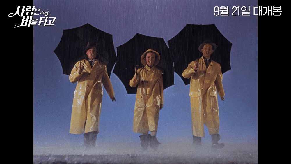 사랑은 비를 타고