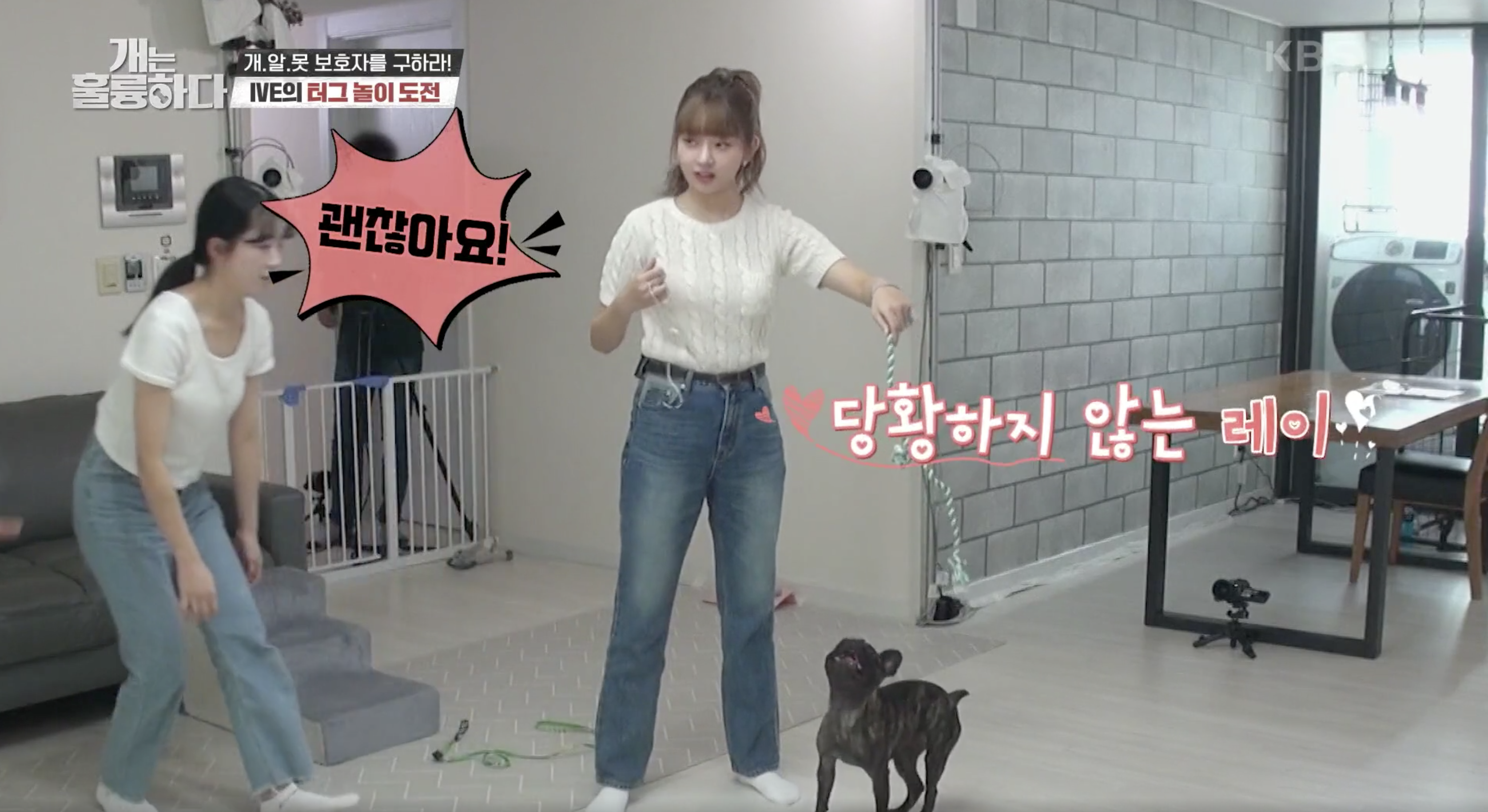 개는 훌륭하다 캡처