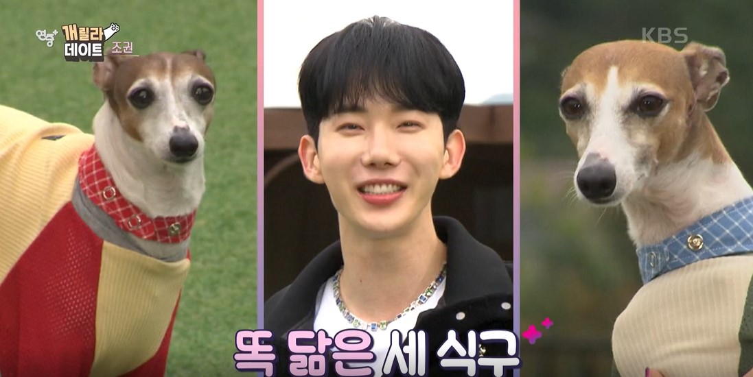 연중 플러스 이미지캡처