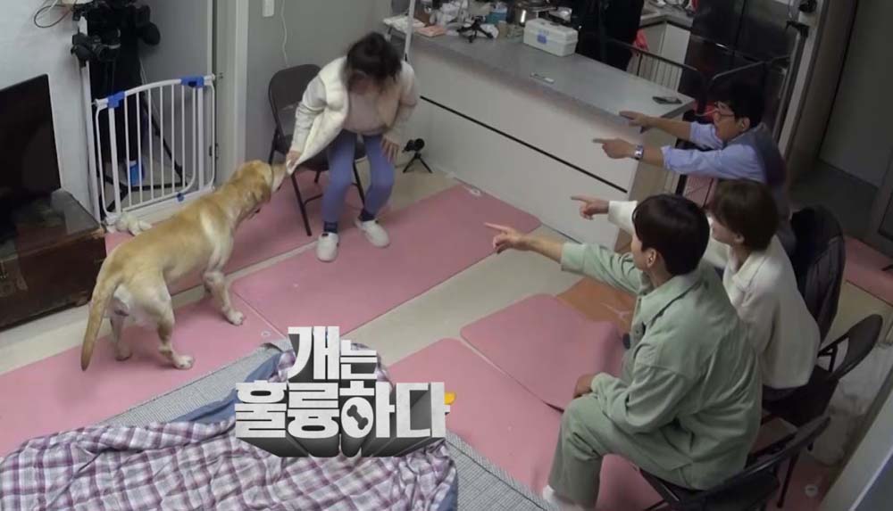 KBS 2TV ‘개는 훌륭하다’