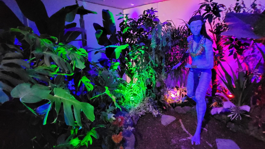 '아바타: 물의 길' 미디어아트  