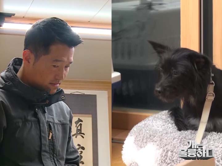  KBS ‘개는 훌륭하다’