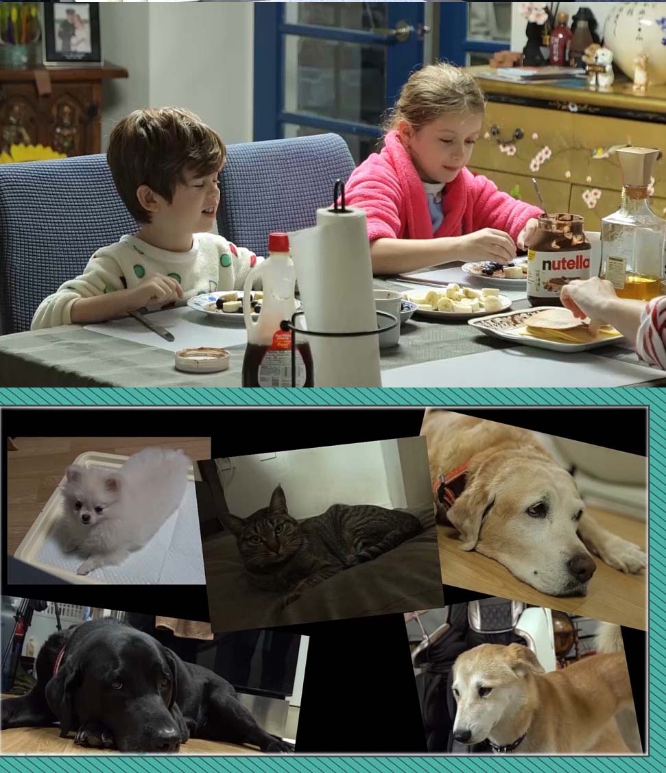 MBC에브리원 ‘어서와 한국살이는 처음이지’