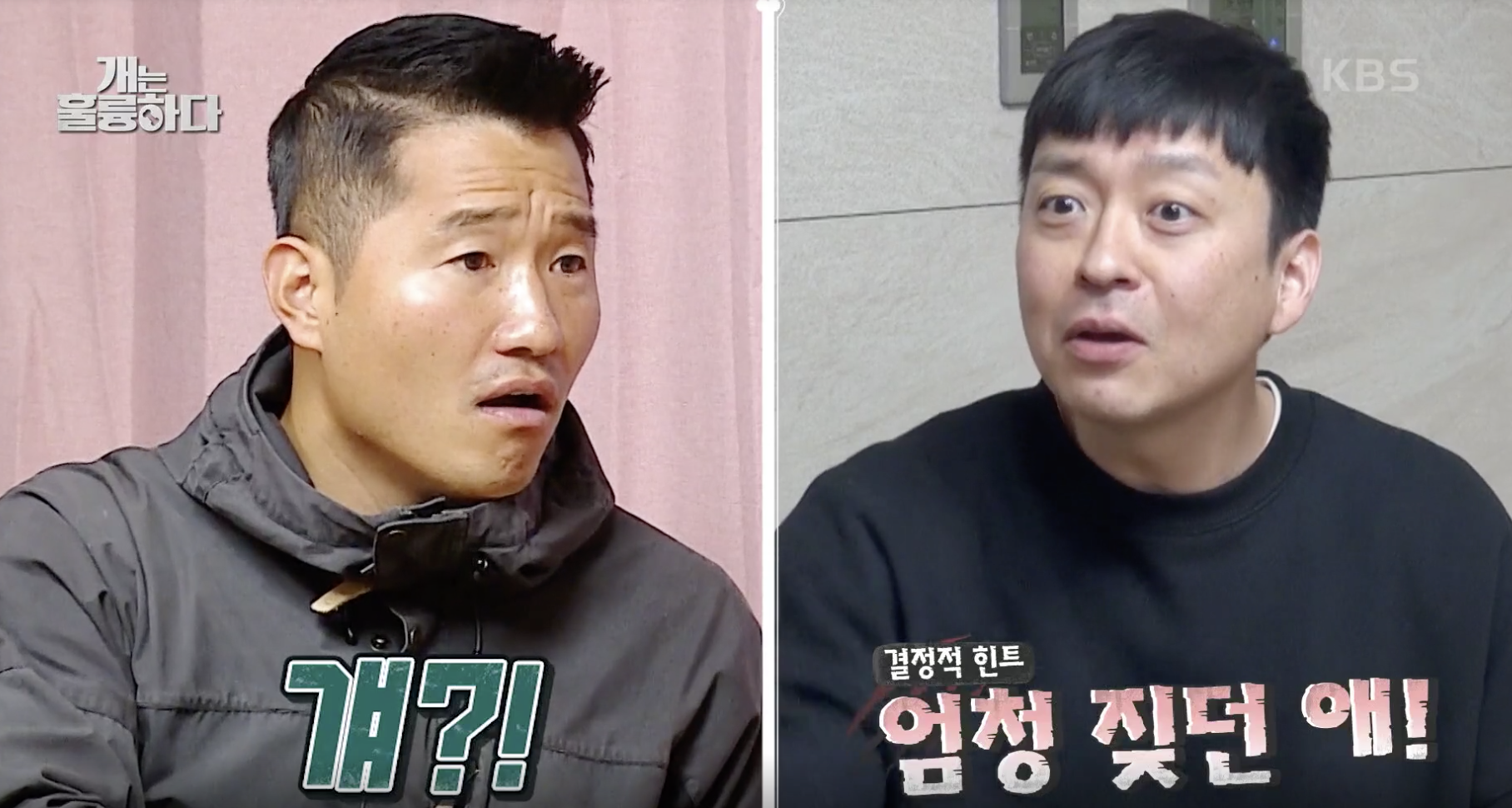 개는 훌륭하다 캡처