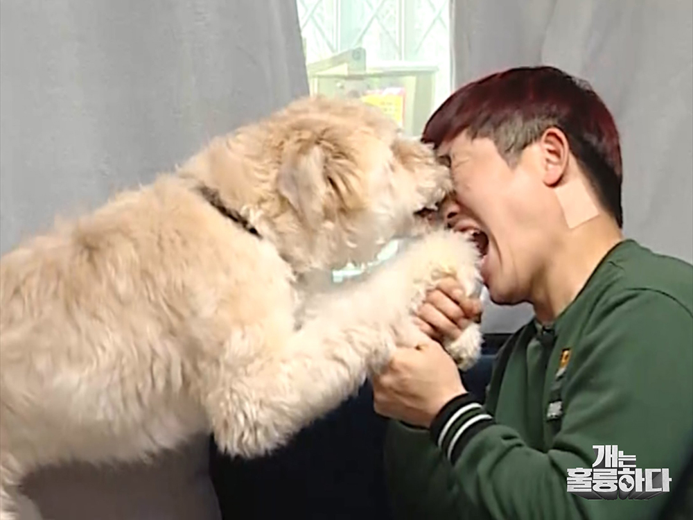 KBS ‘개는 훌륭하다’