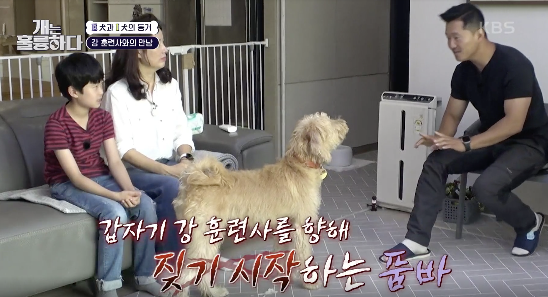 개는 훌륭하다 캡처