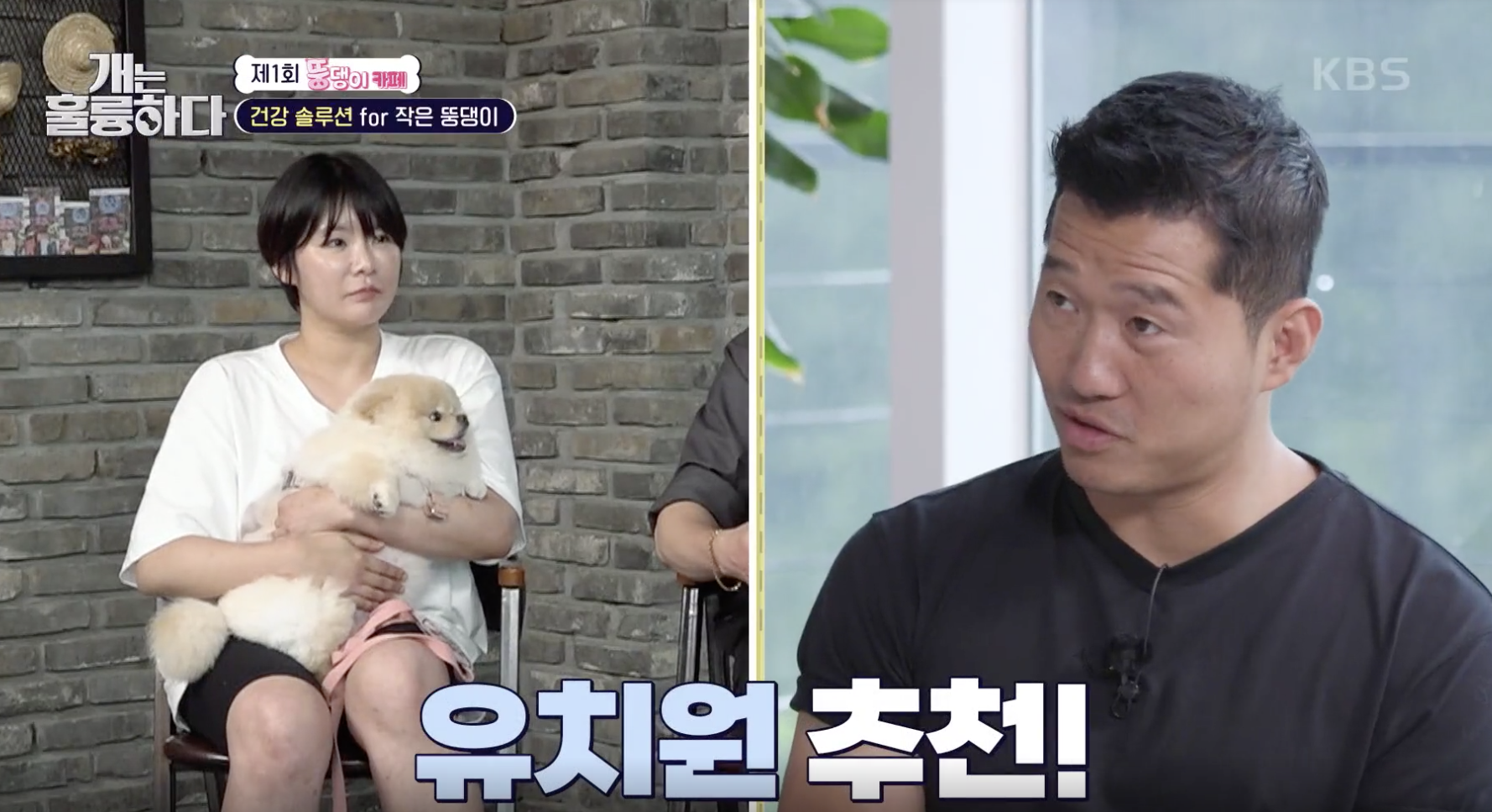 개는 훌륭하다 캡처