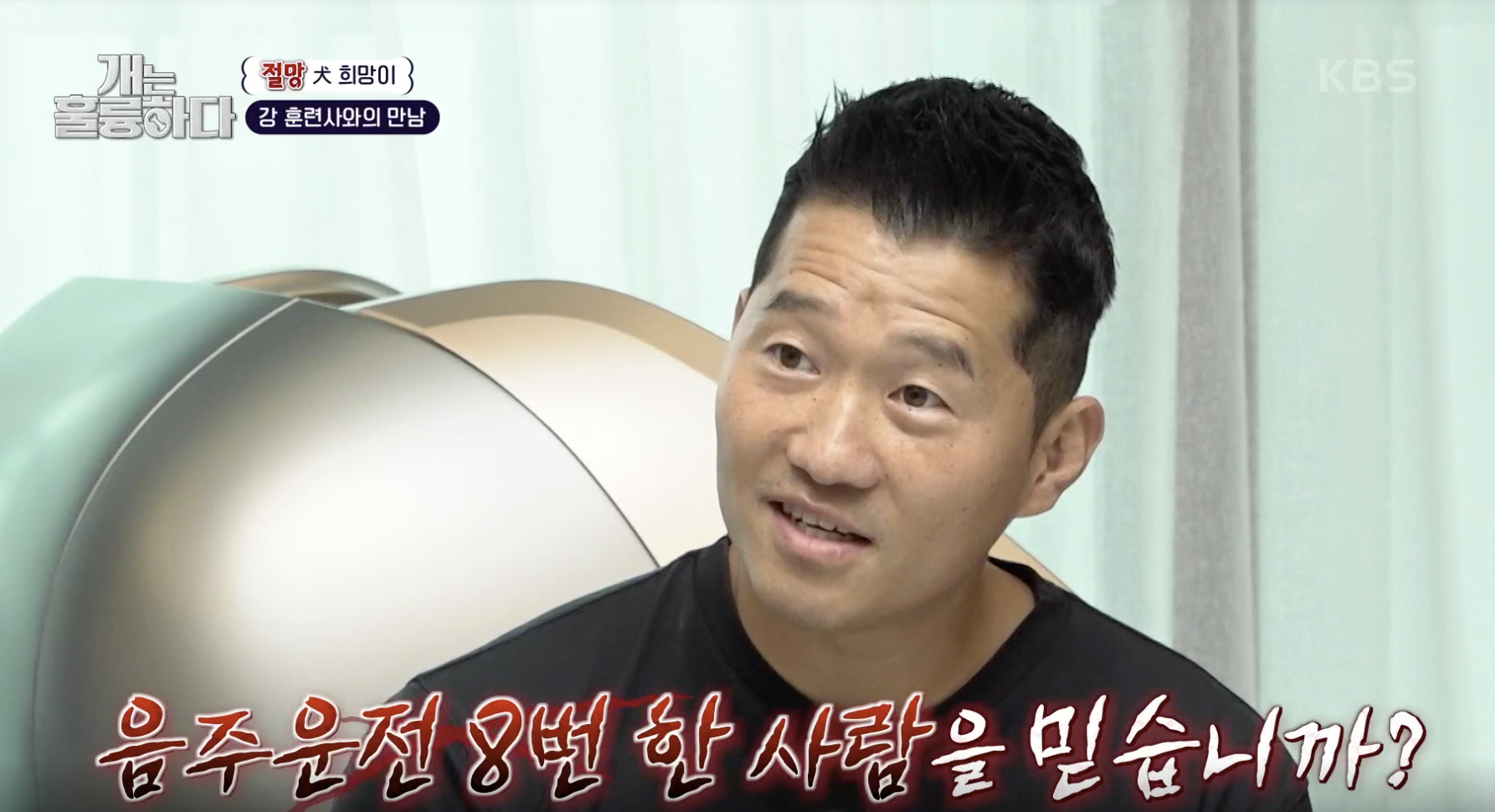 개는 훌륭하다 캡처