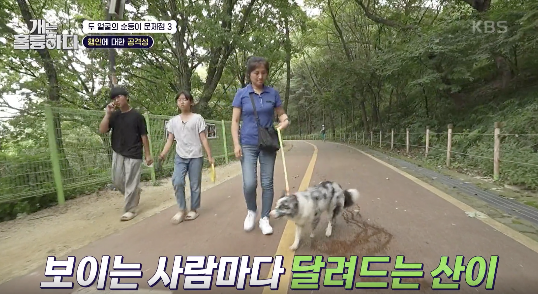 개는 훌륭하다 캡처