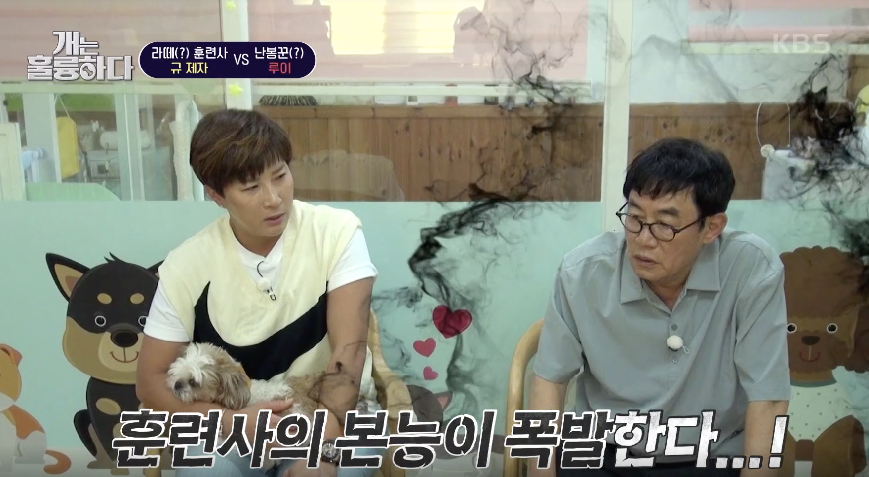 개는 훌룽하다 캡처