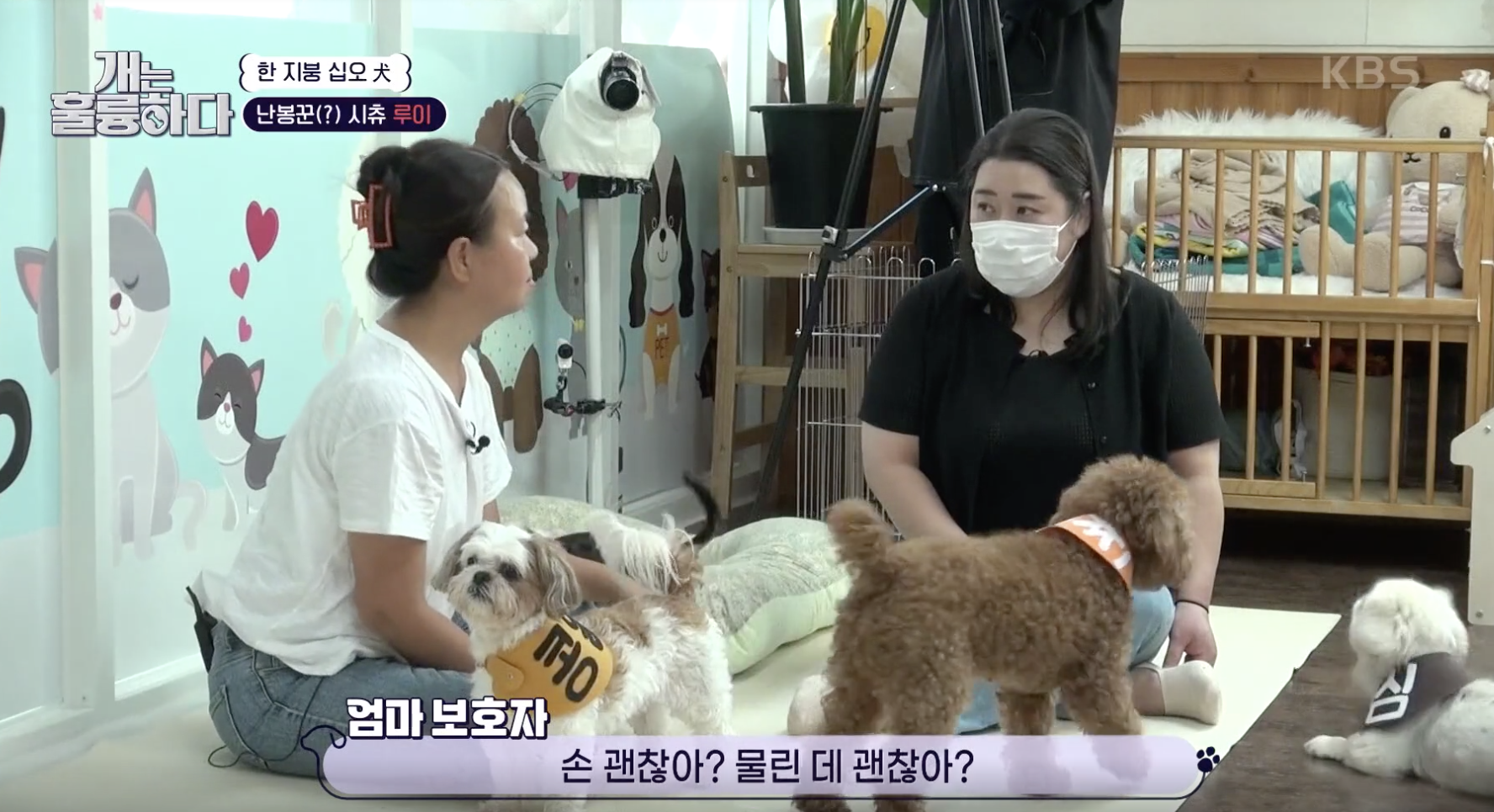 개는 훌륭하다 캡처