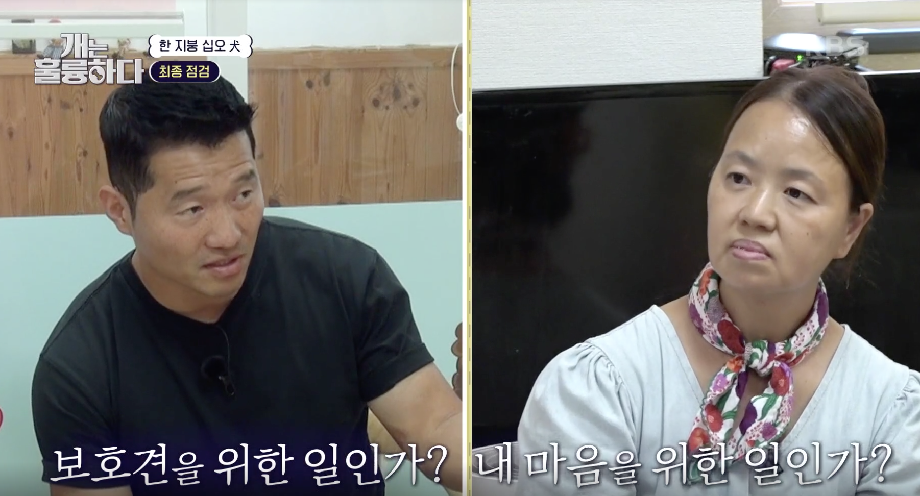 개는 훌륭하다 캡처