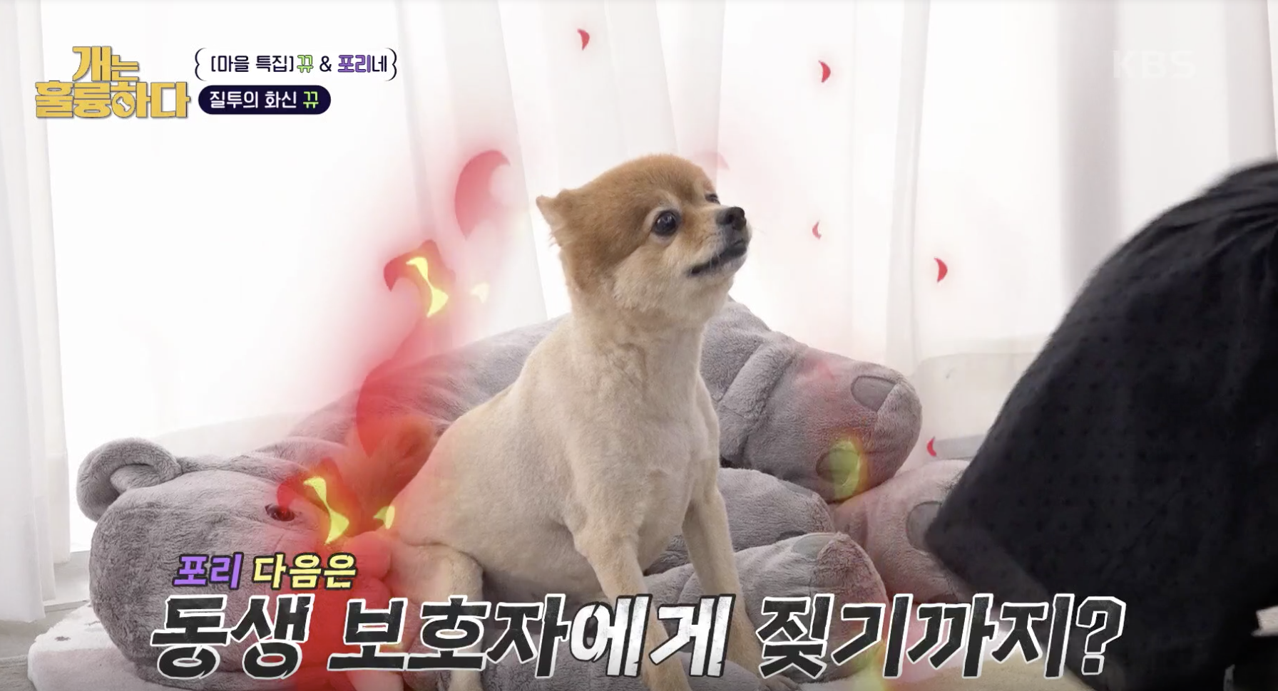 개는 훌륭하다 캡처