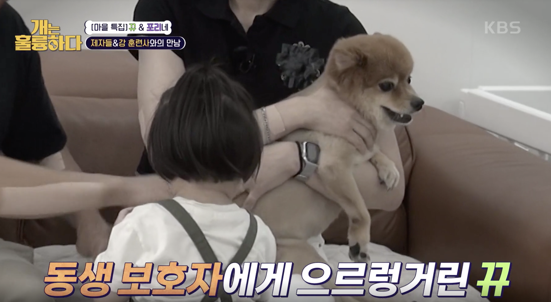 개는 훌륭하다 캡처