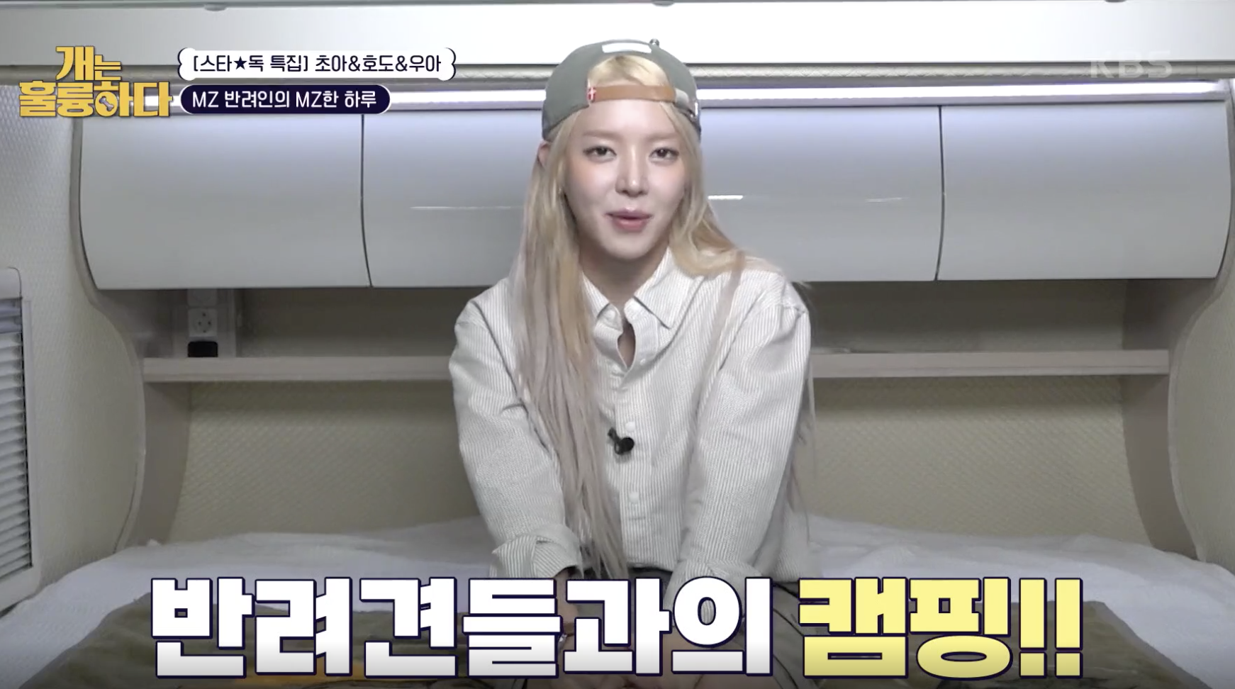 개는 훌륭하다 캡처