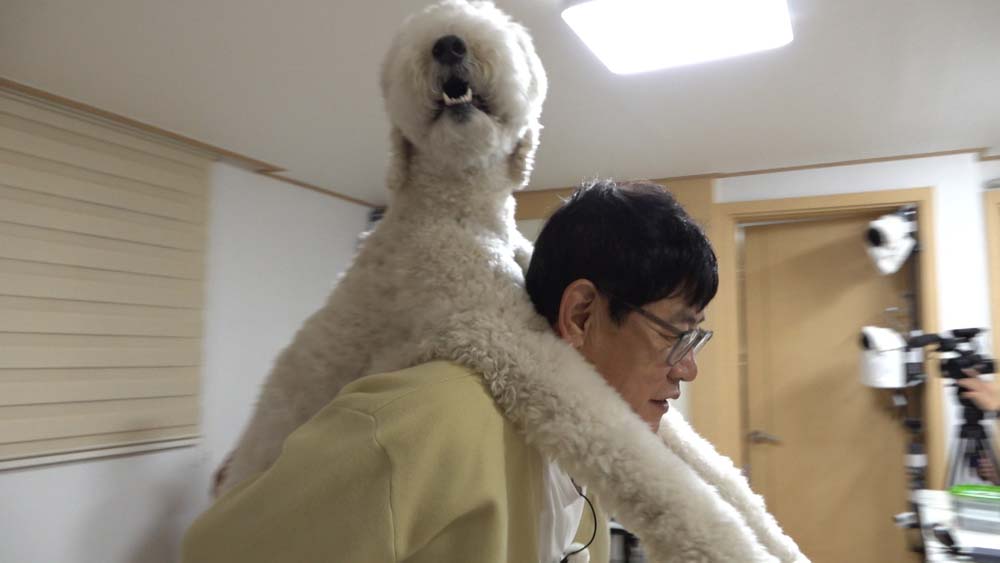 KBS2 ‘개는 훌륭하다’