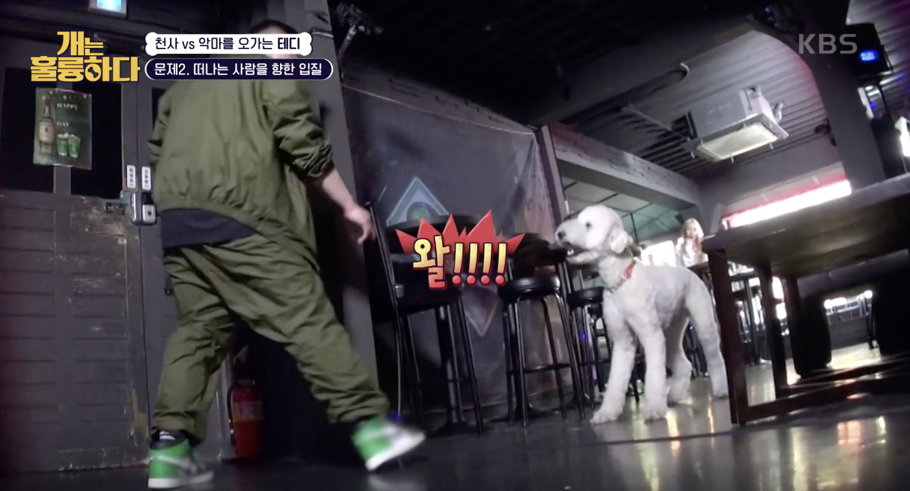 개는 훌륭하다 캡처