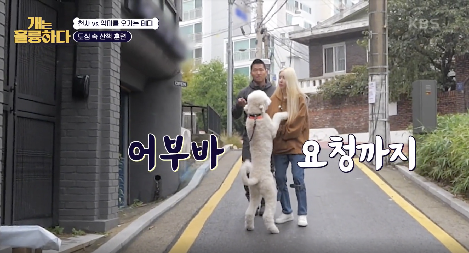 개는 훌륭하다 캡처