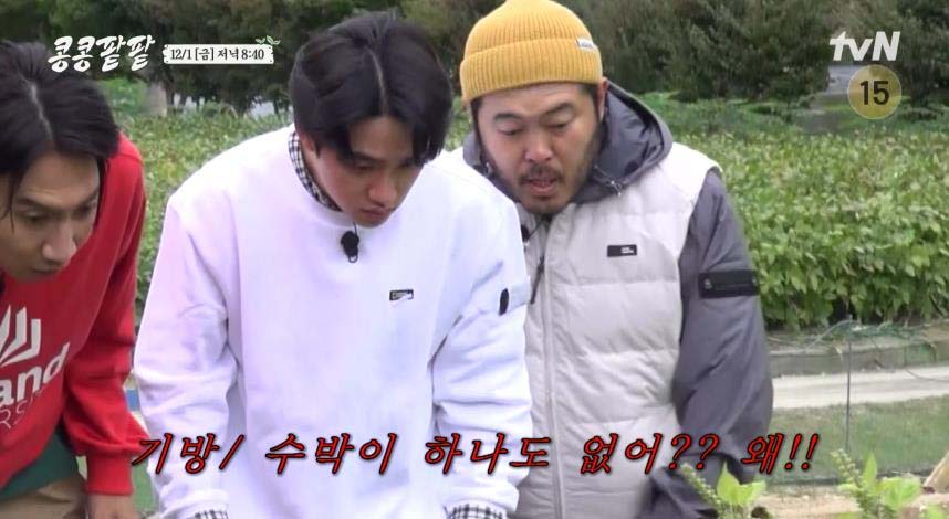  tvN ‘콩 심은 데 콩 나고 팥 심은 데 팥 난다’