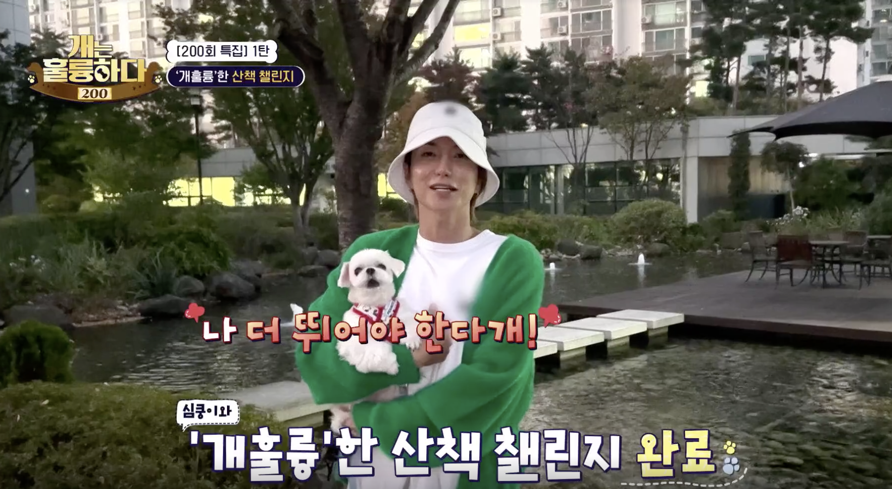 개는 흘륭하다 캡처