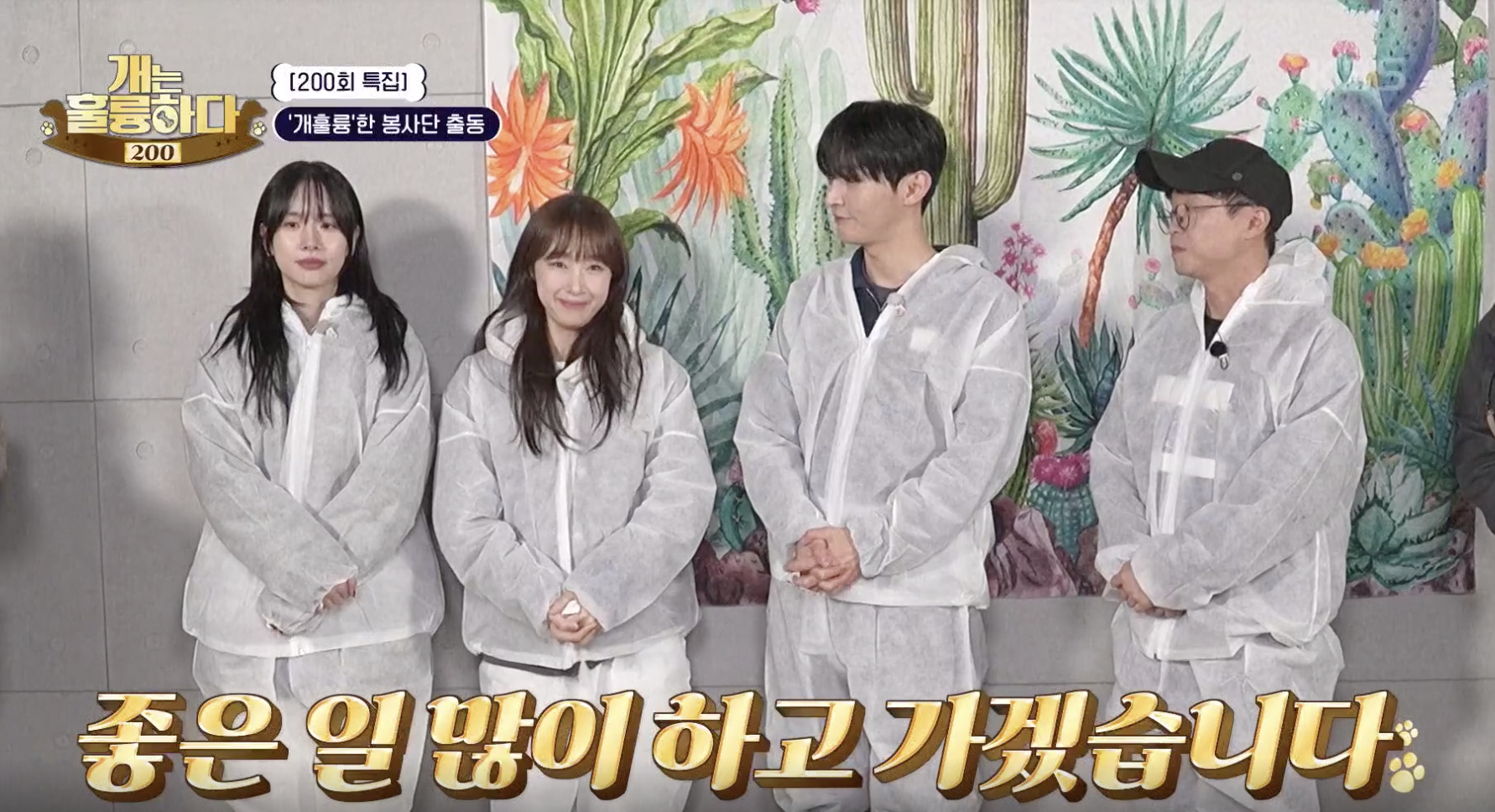 개는 훌륭하다 캡처